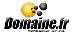 Domaine.fr Logo